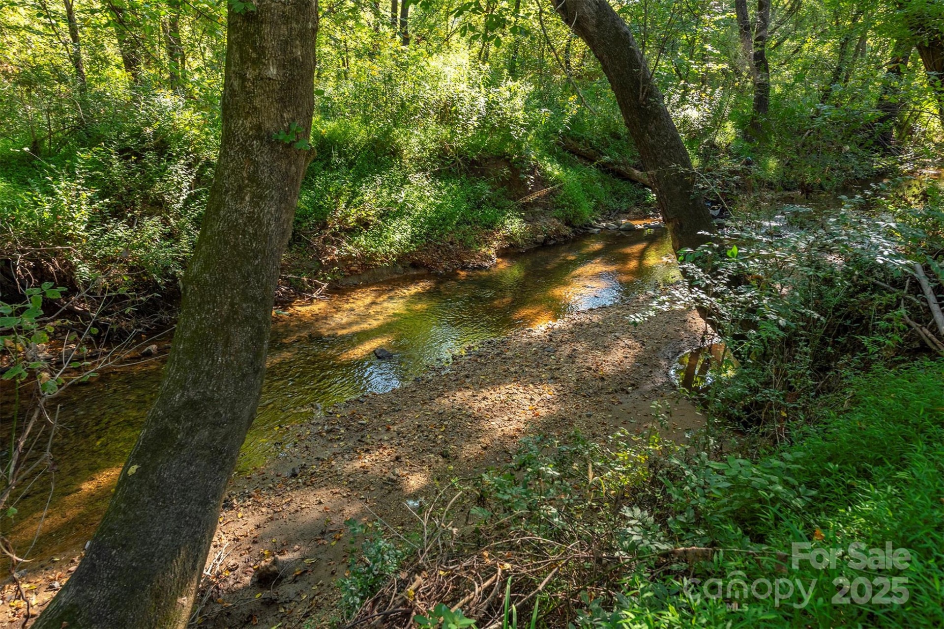 2305 Rutherford Road - Photo 38