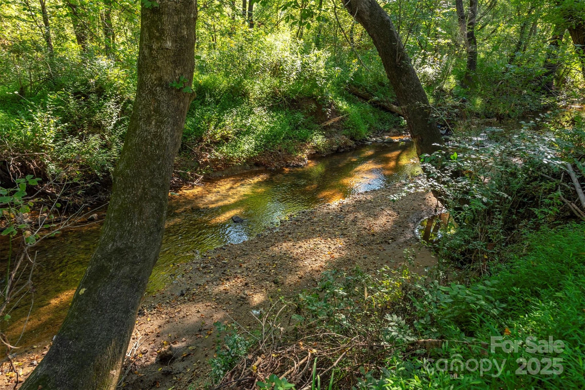 2305 Rutherford Road - Photo 38