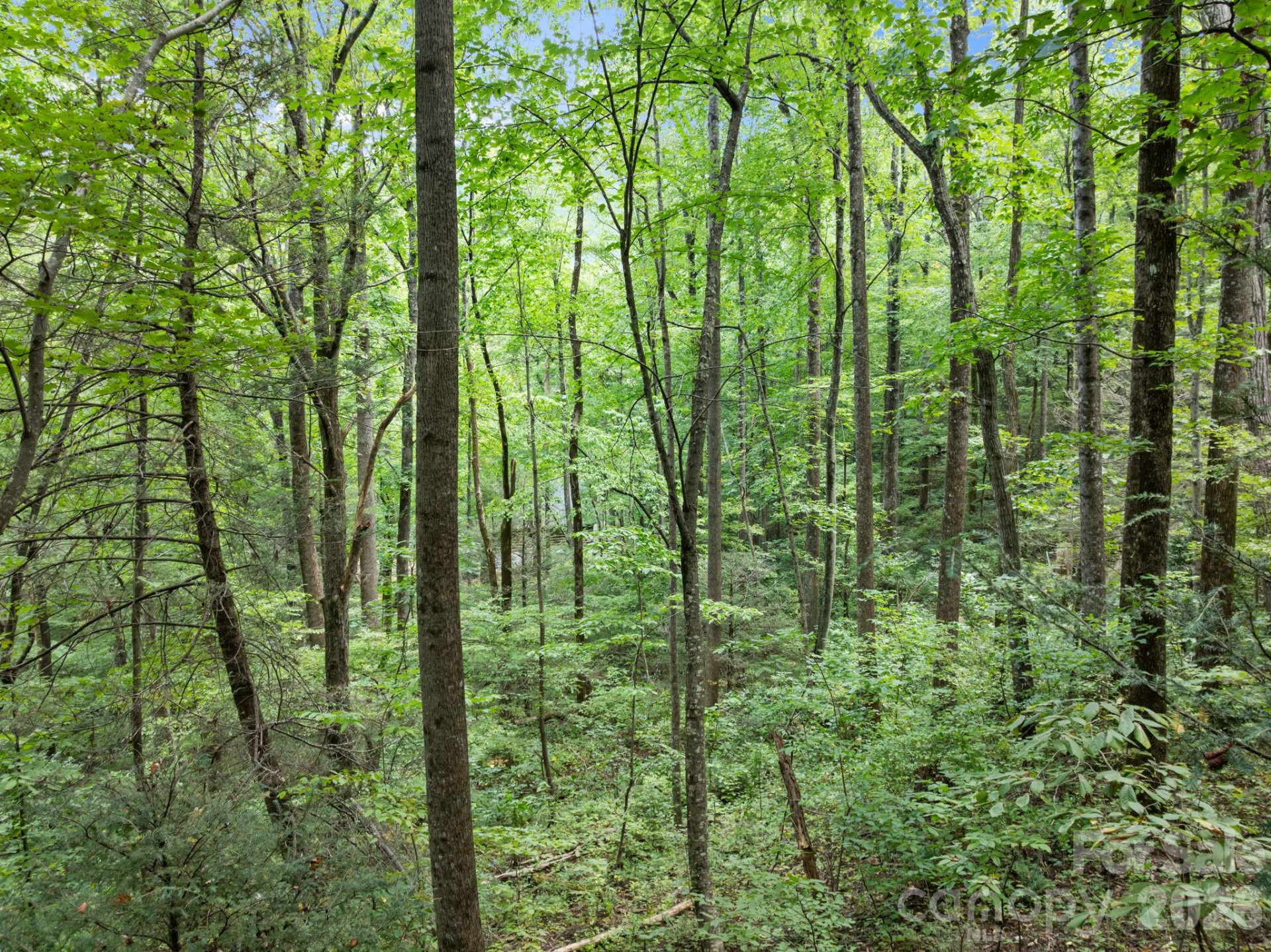 1 Rixhaven Drive - Photo 11