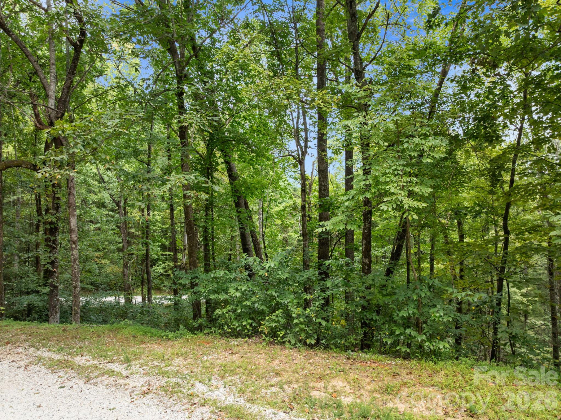 1 Rixhaven Drive - Photo 12