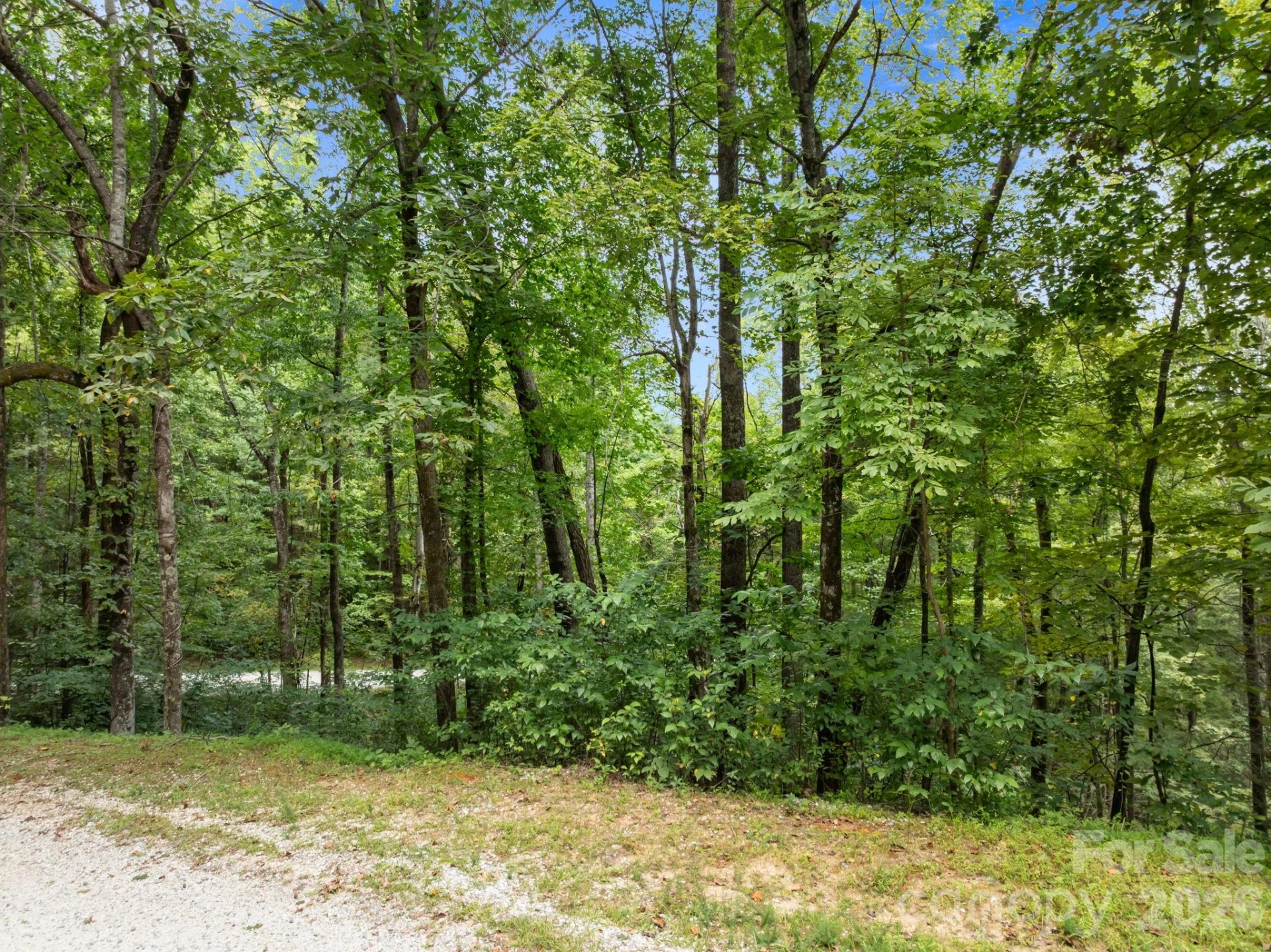 1 Rixhaven Drive - Photo 12