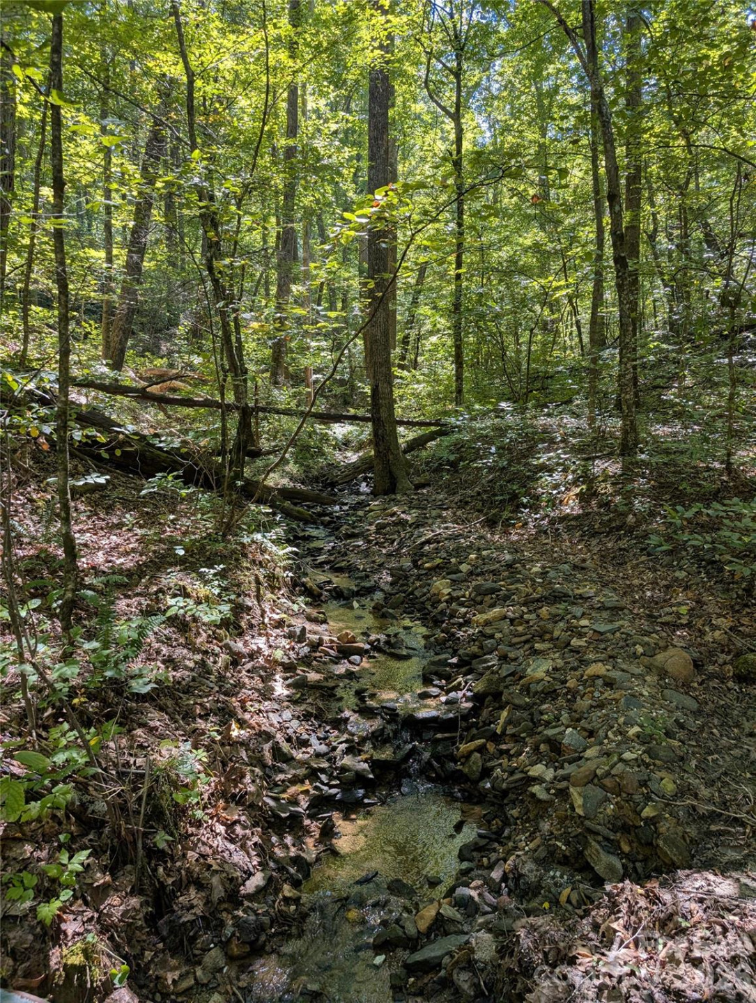 1 Rixhaven Drive - Photo 3