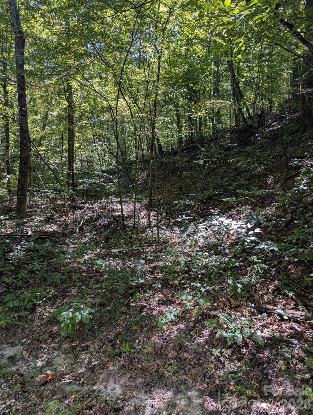 1 Rixhaven Drive - Photo 4