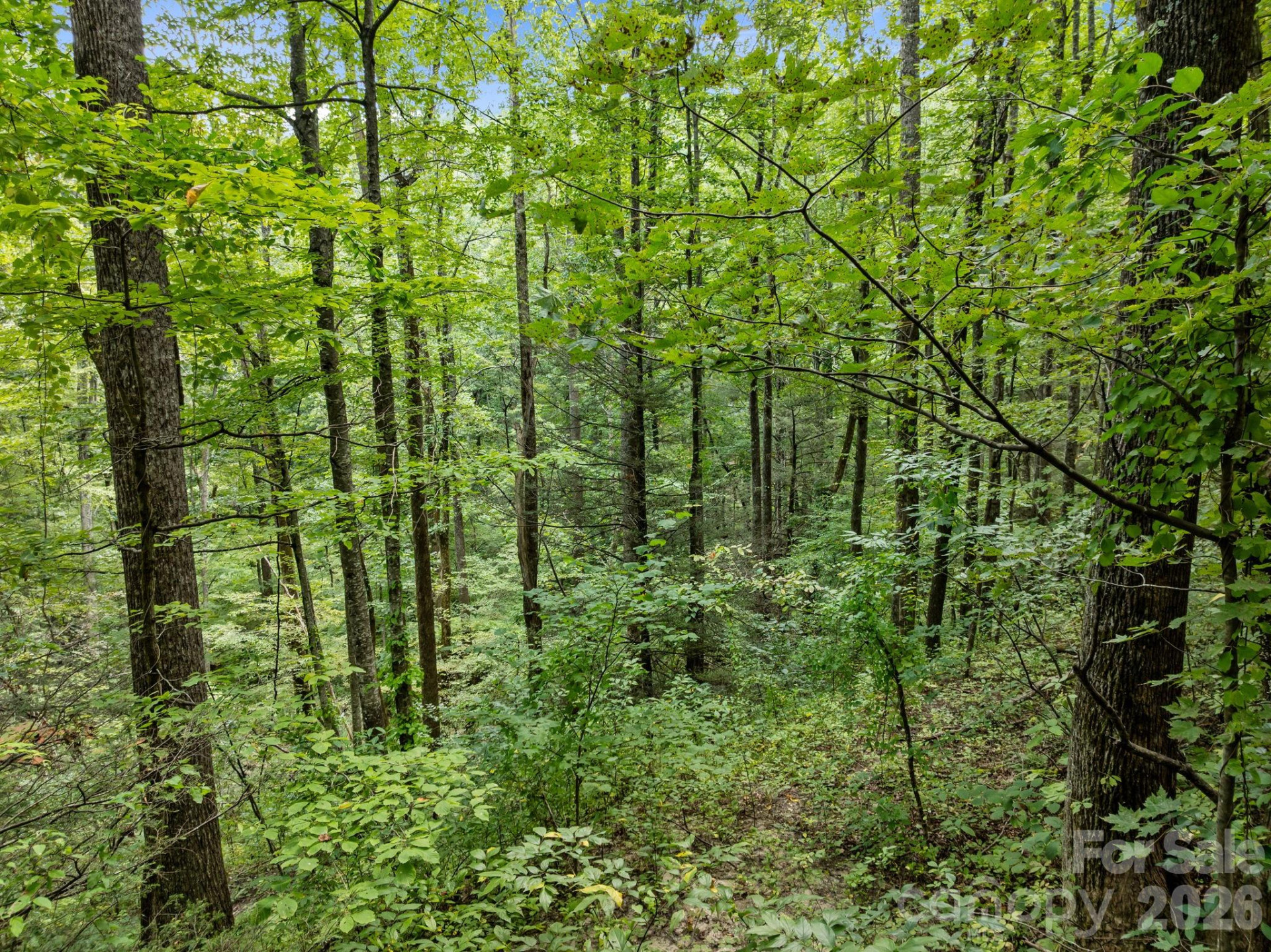 1 Rixhaven Drive - Photo 10