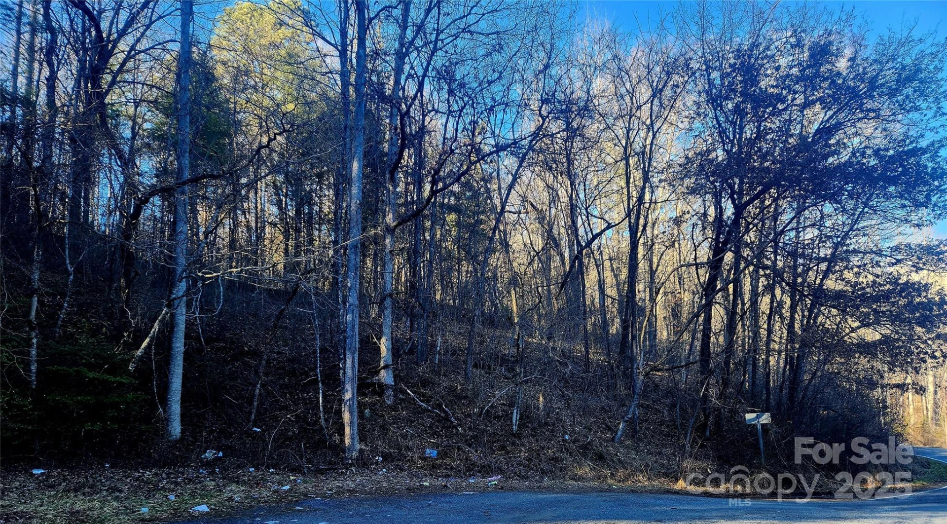 000 Lyle Wilson Road - Photo 7