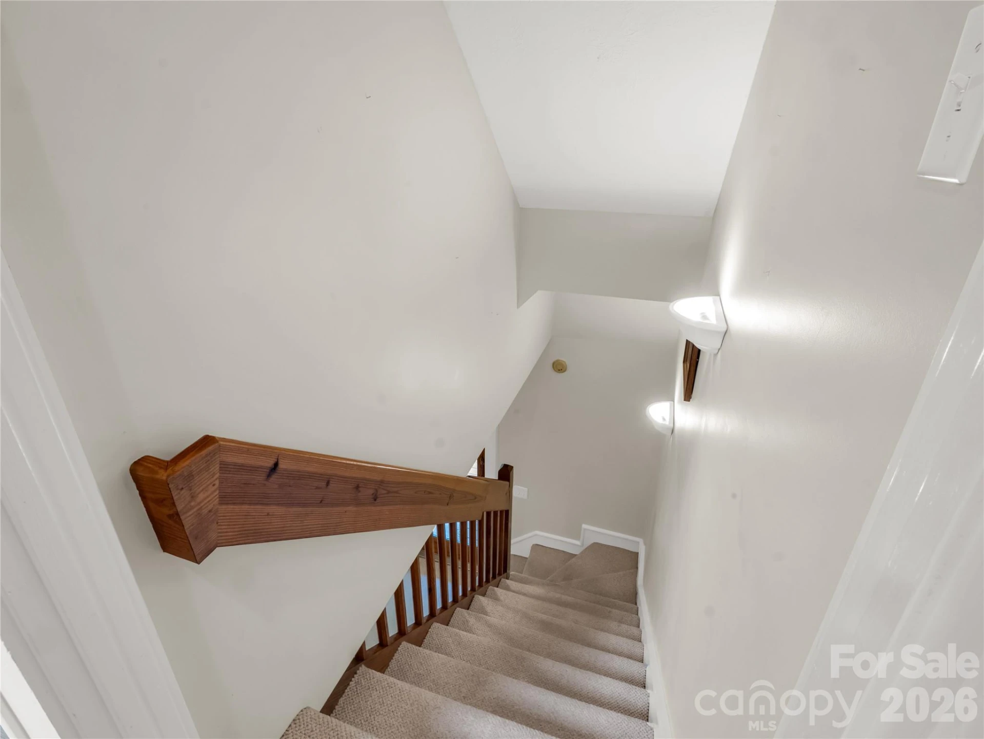 142 Winterview Trail - Photo 56
