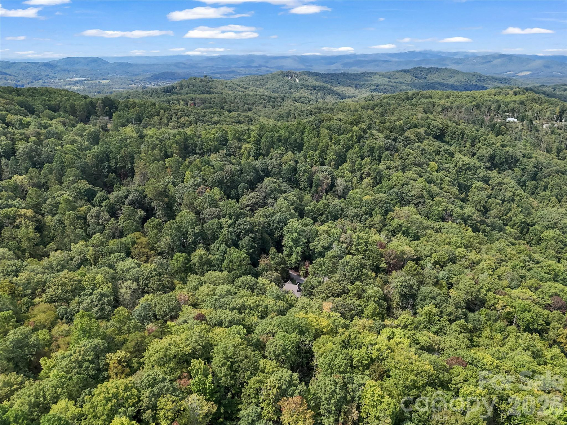 142 Winterview Trail - Photo 76