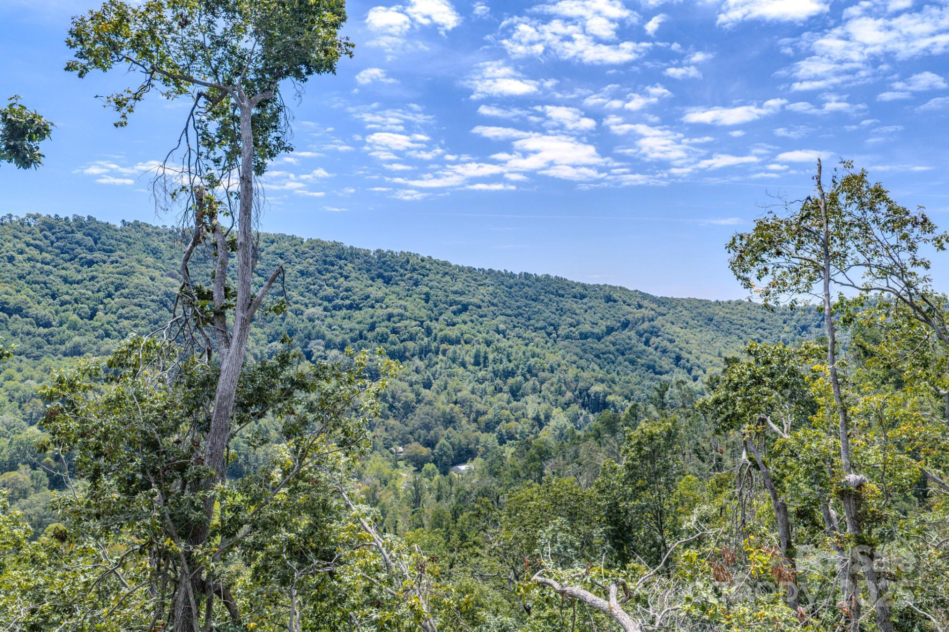 99999 Majestic Mountain Drive - Photo 2