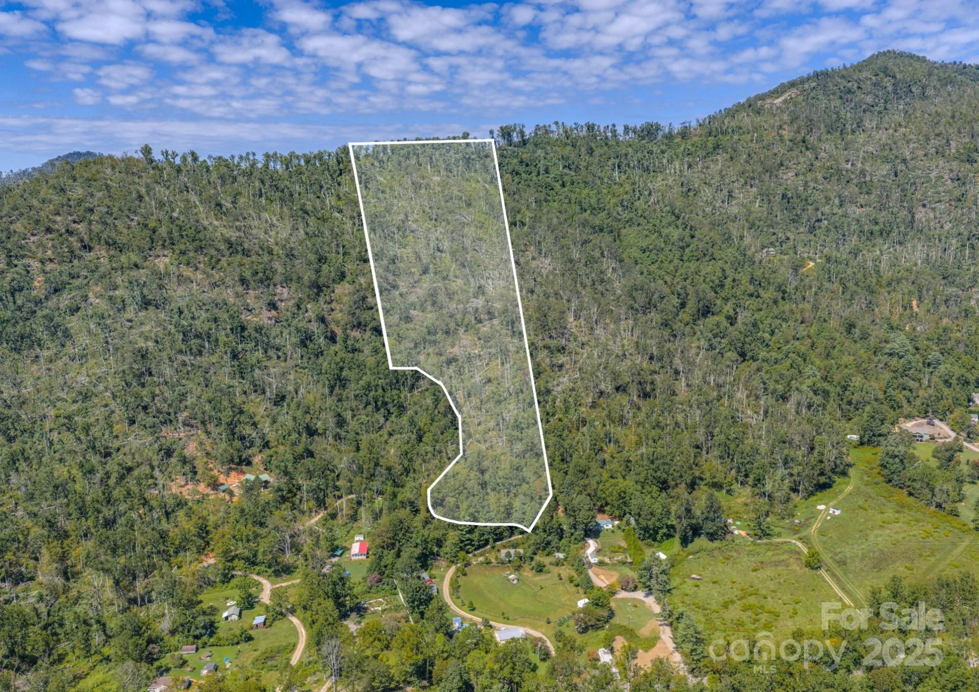 99999 Majestic Mountain Drive - Photo 3