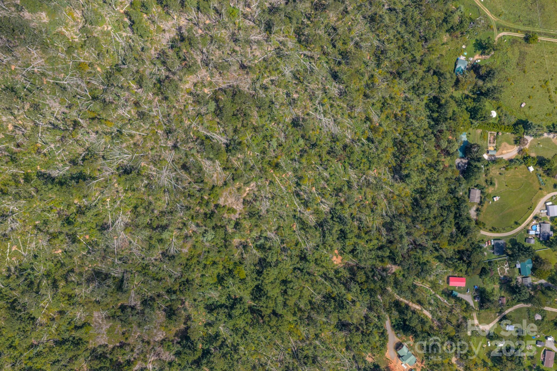 99999 Majestic Mountain Drive - Photo 4