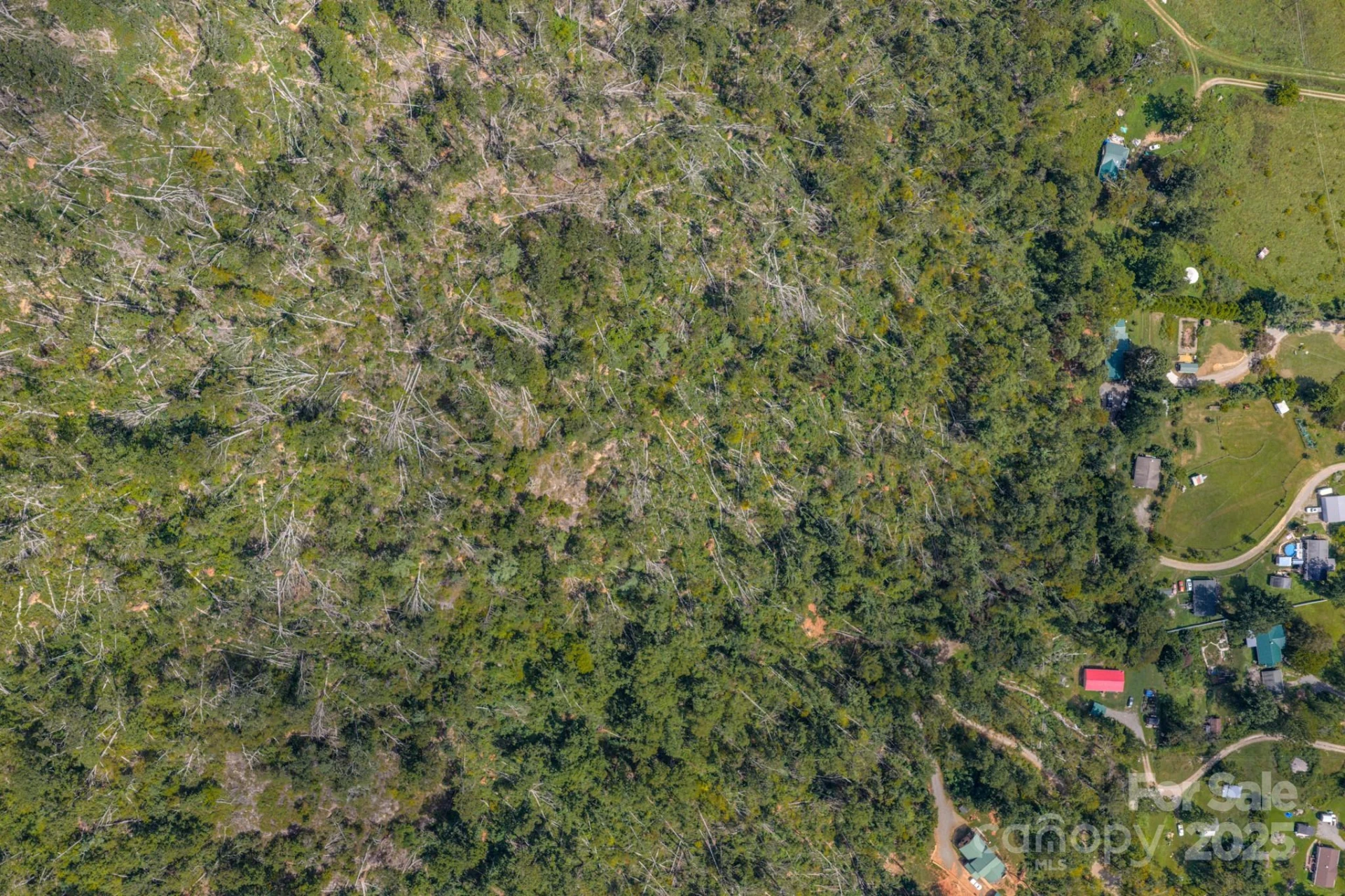 99999 Majestic Mountain Drive - Photo 4