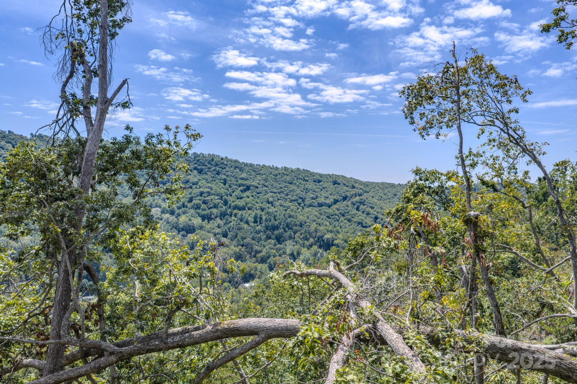 99999 Majestic Mountain Drive - Photo 5