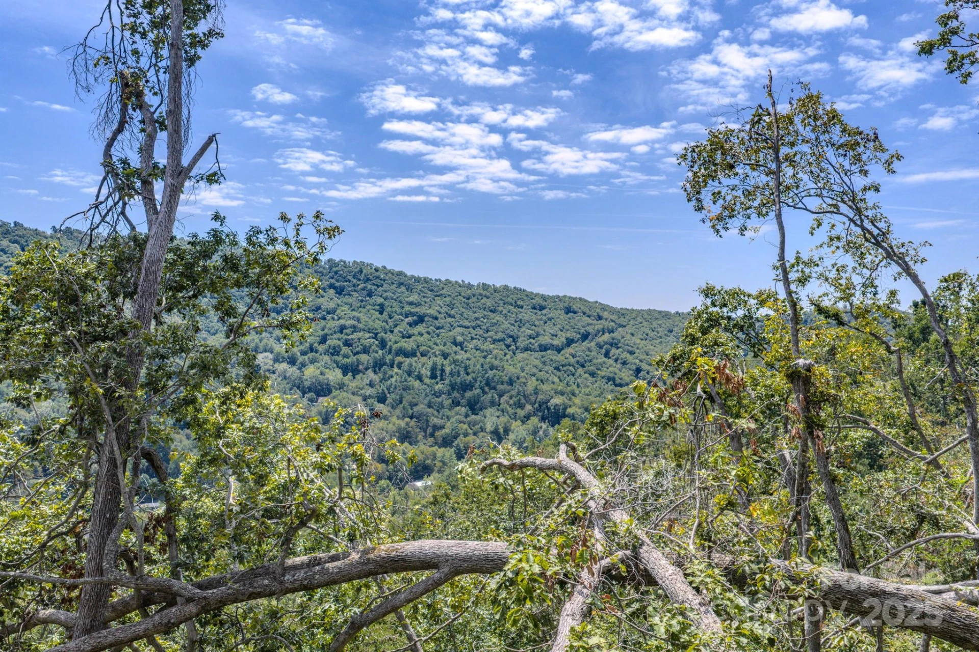 99999 Majestic Mountain Drive - Photo 5