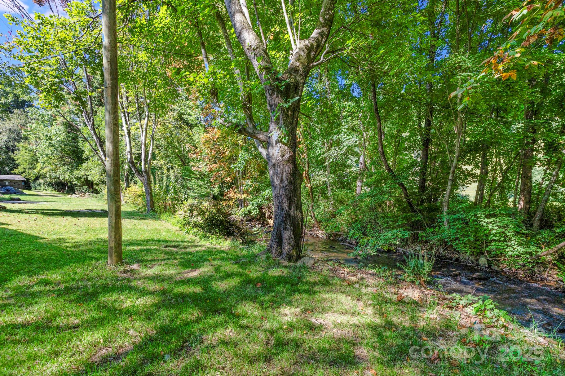 1808 Allens Creek Road - Photo 3