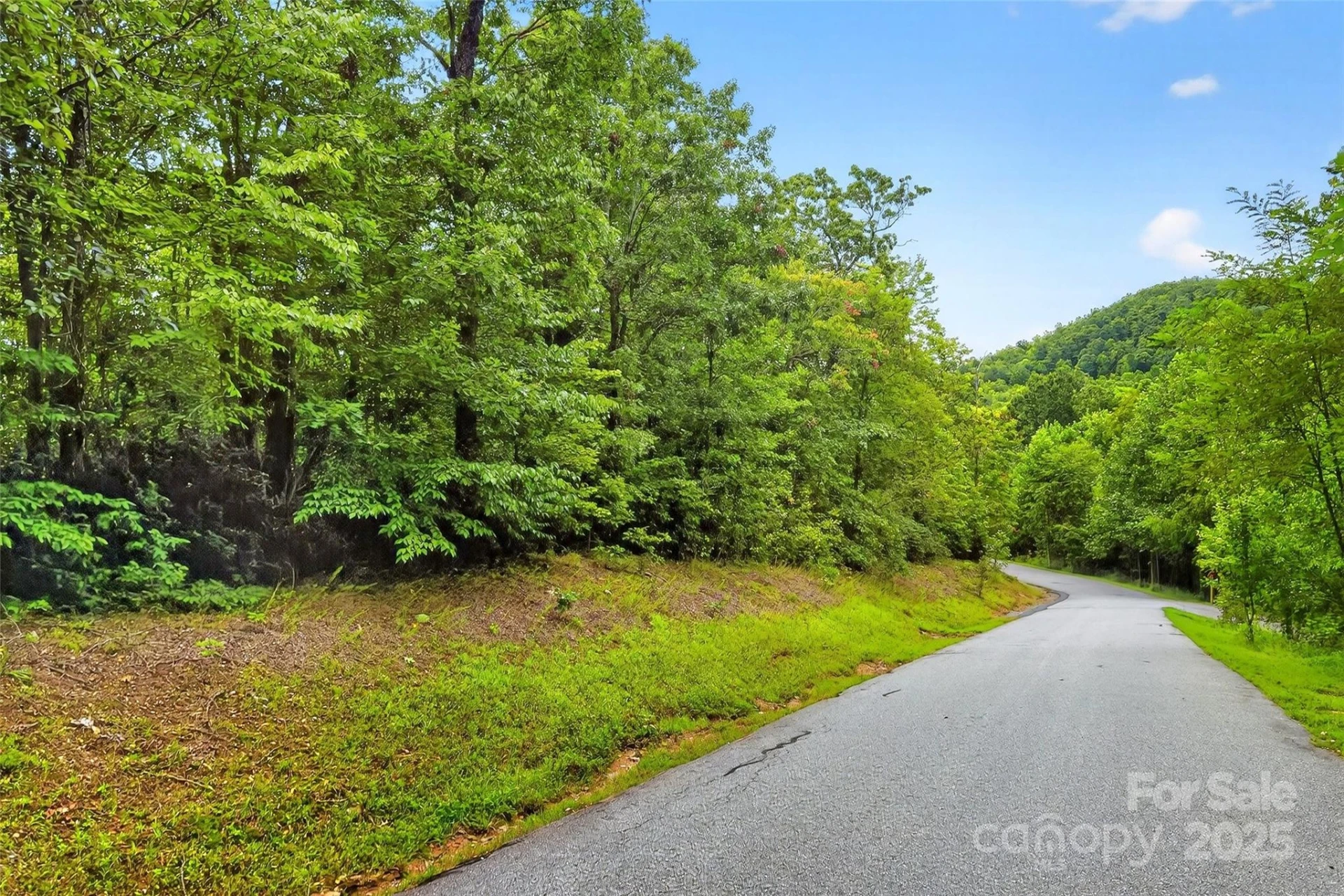 1696 Catawba Falls Parkway #190 - Photo 2