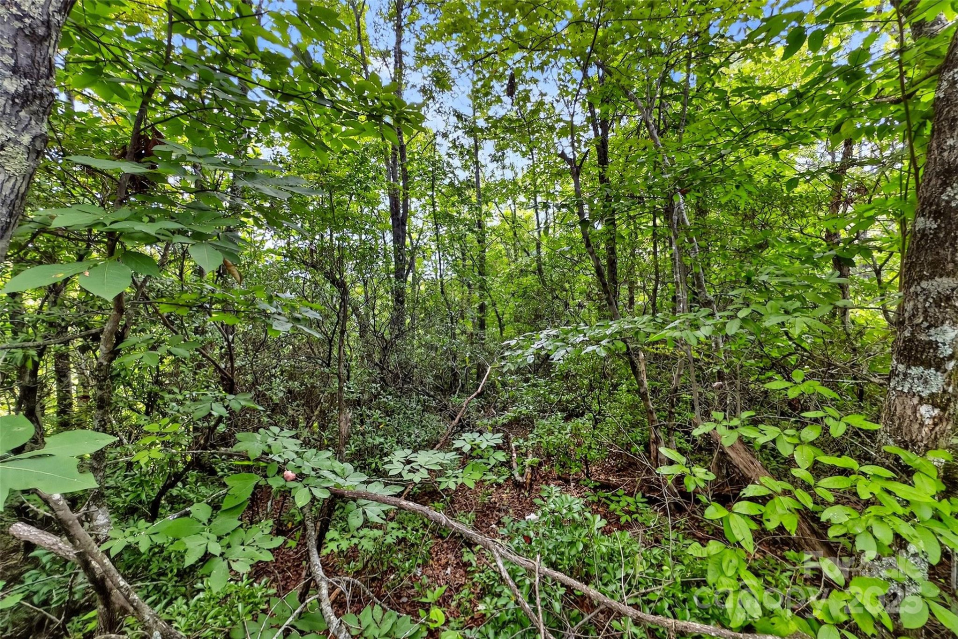 1696 Catawba Falls Parkway #190 - Photo 11