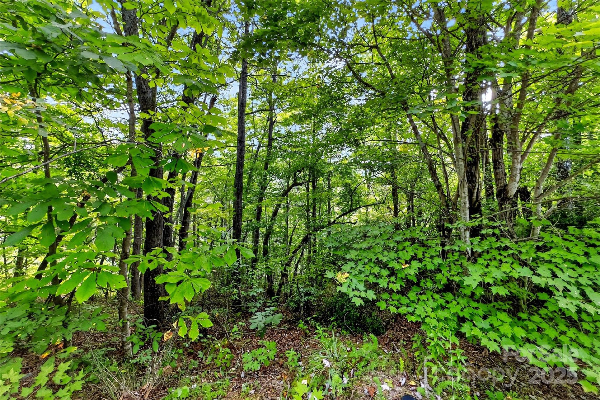 1696 Catawba Falls Parkway #190 - Photo 12