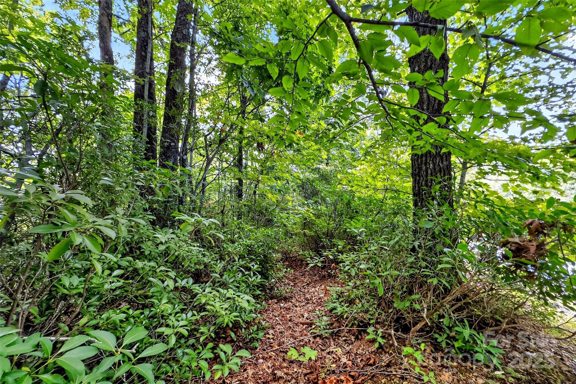 1696 Catawba Falls Parkway #190 - Photo 13