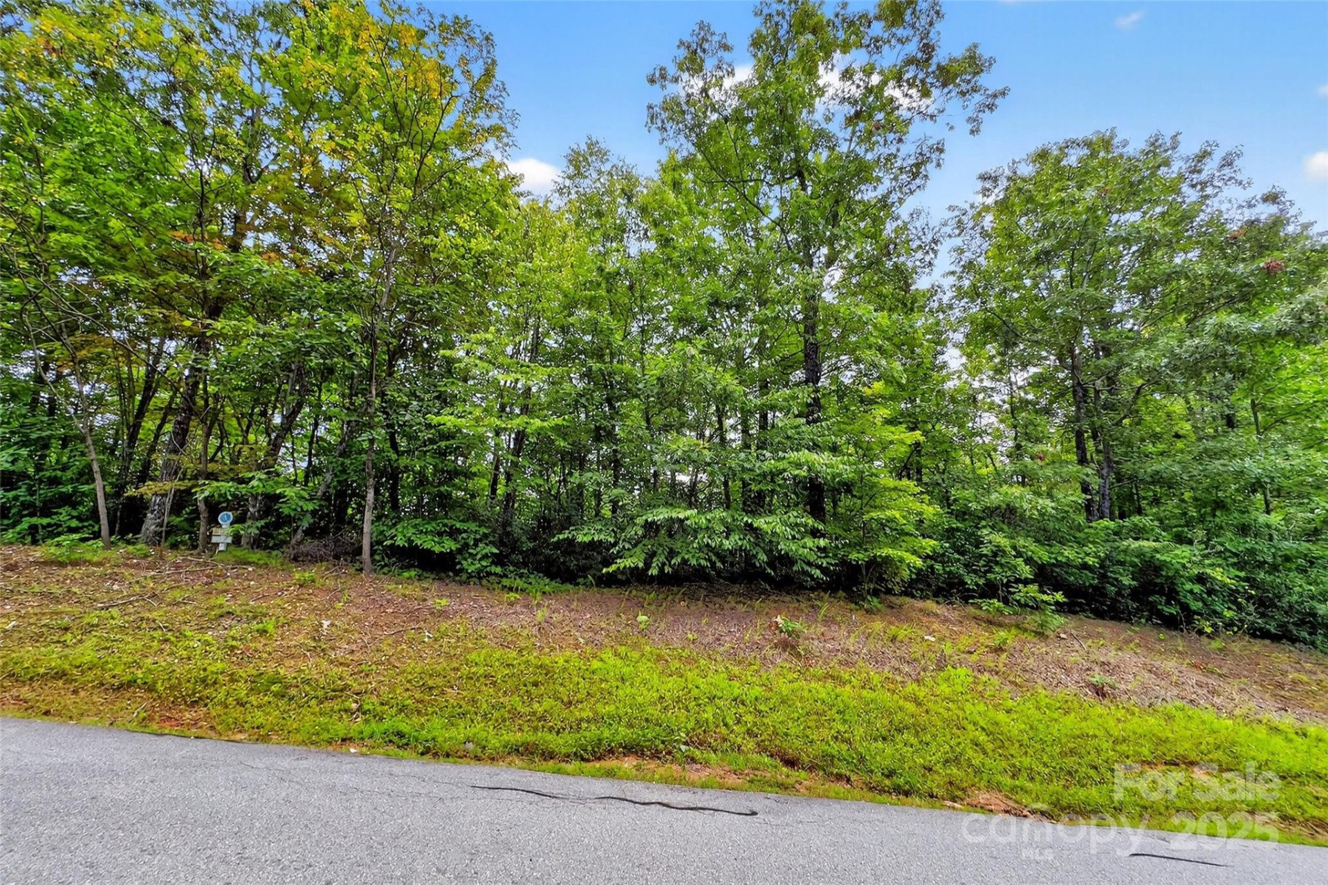 1696 Catawba Falls Parkway #190 - Photo 3