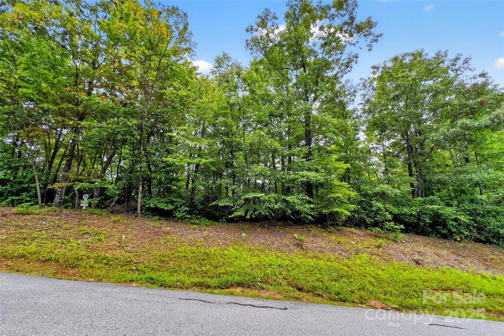 1696 Catawba Falls Parkway #190 - Photo 3