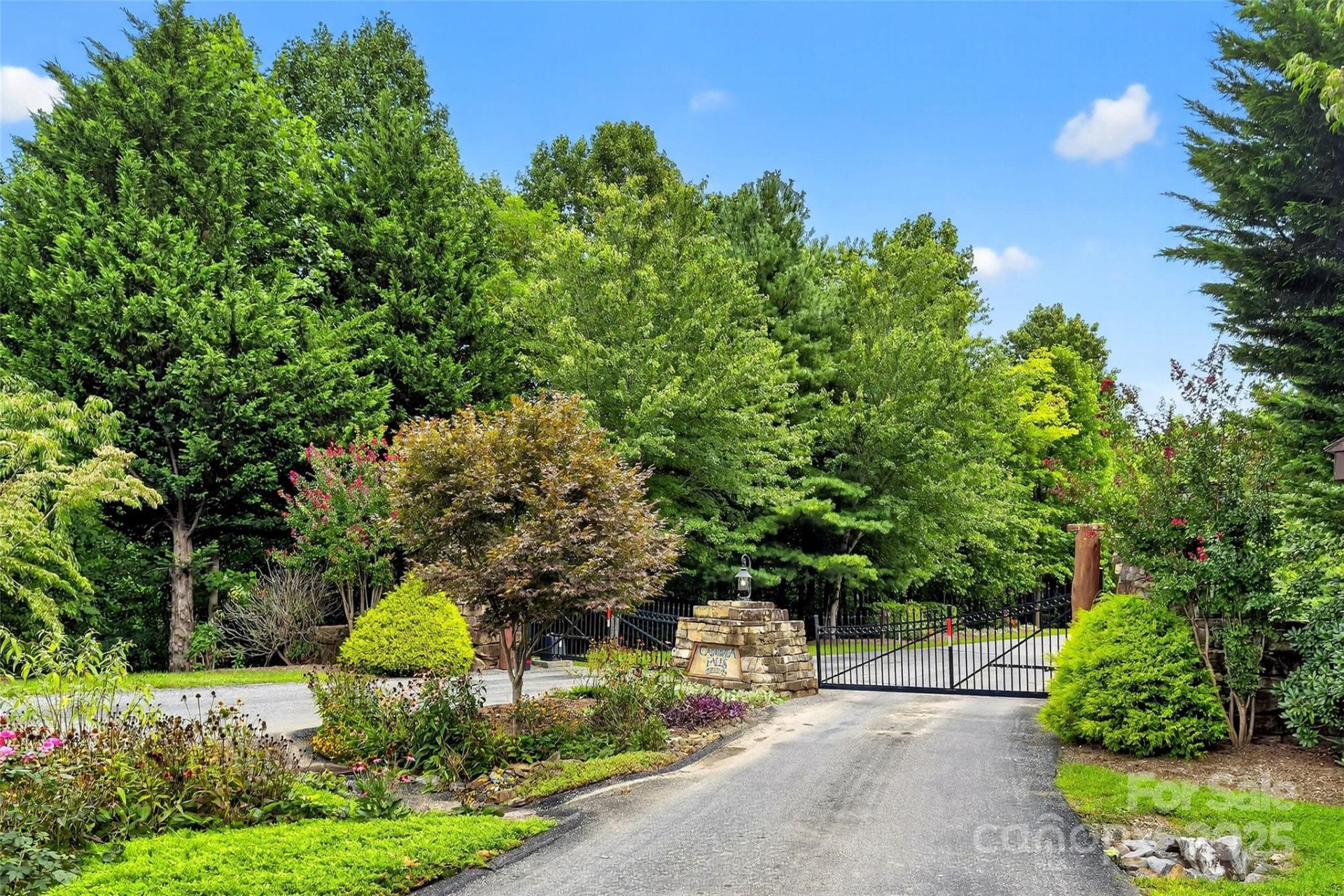 1696 Catawba Falls Parkway #190 - Photo 22