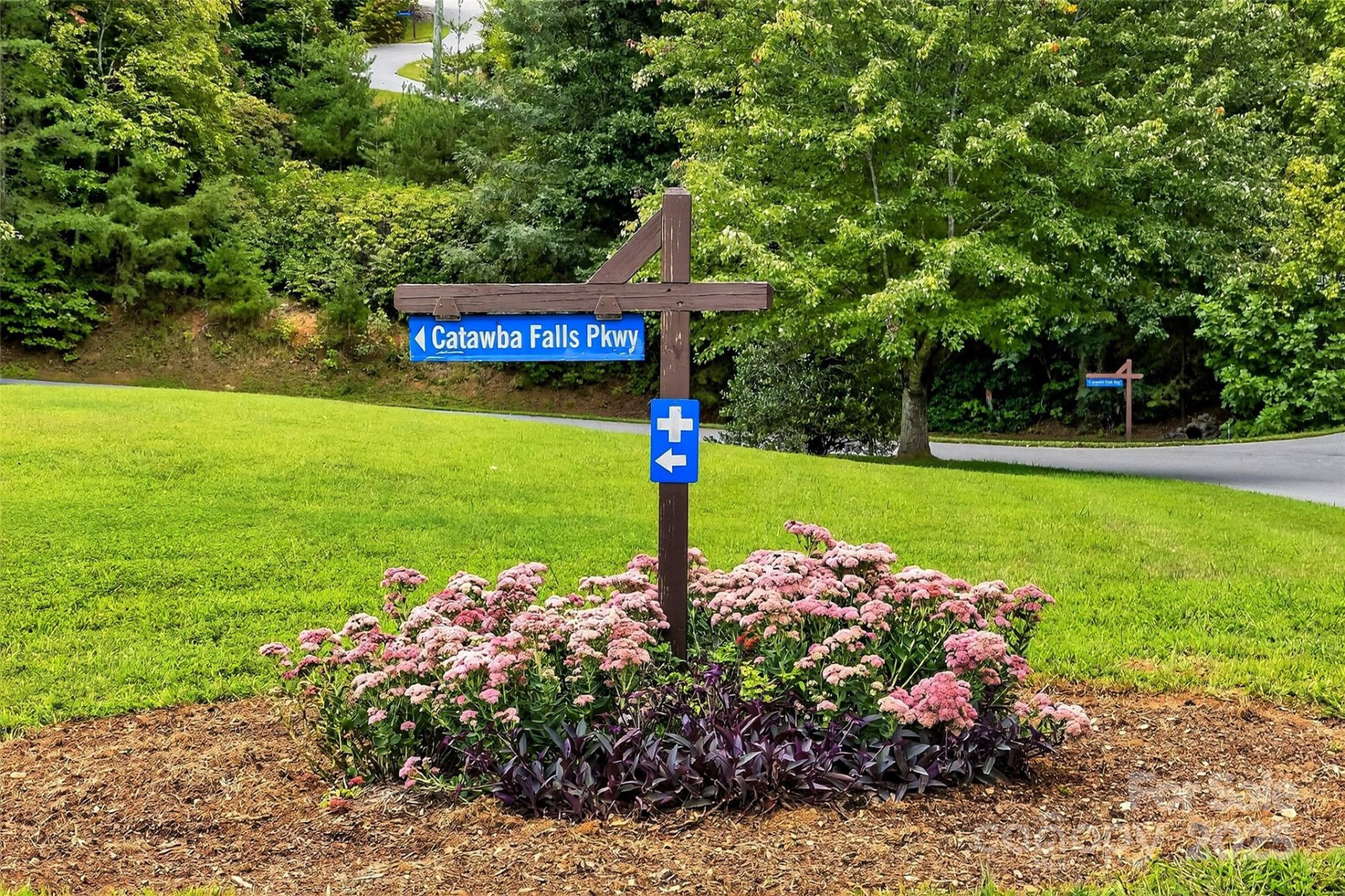 1696 Catawba Falls Parkway #190 - Photo 23