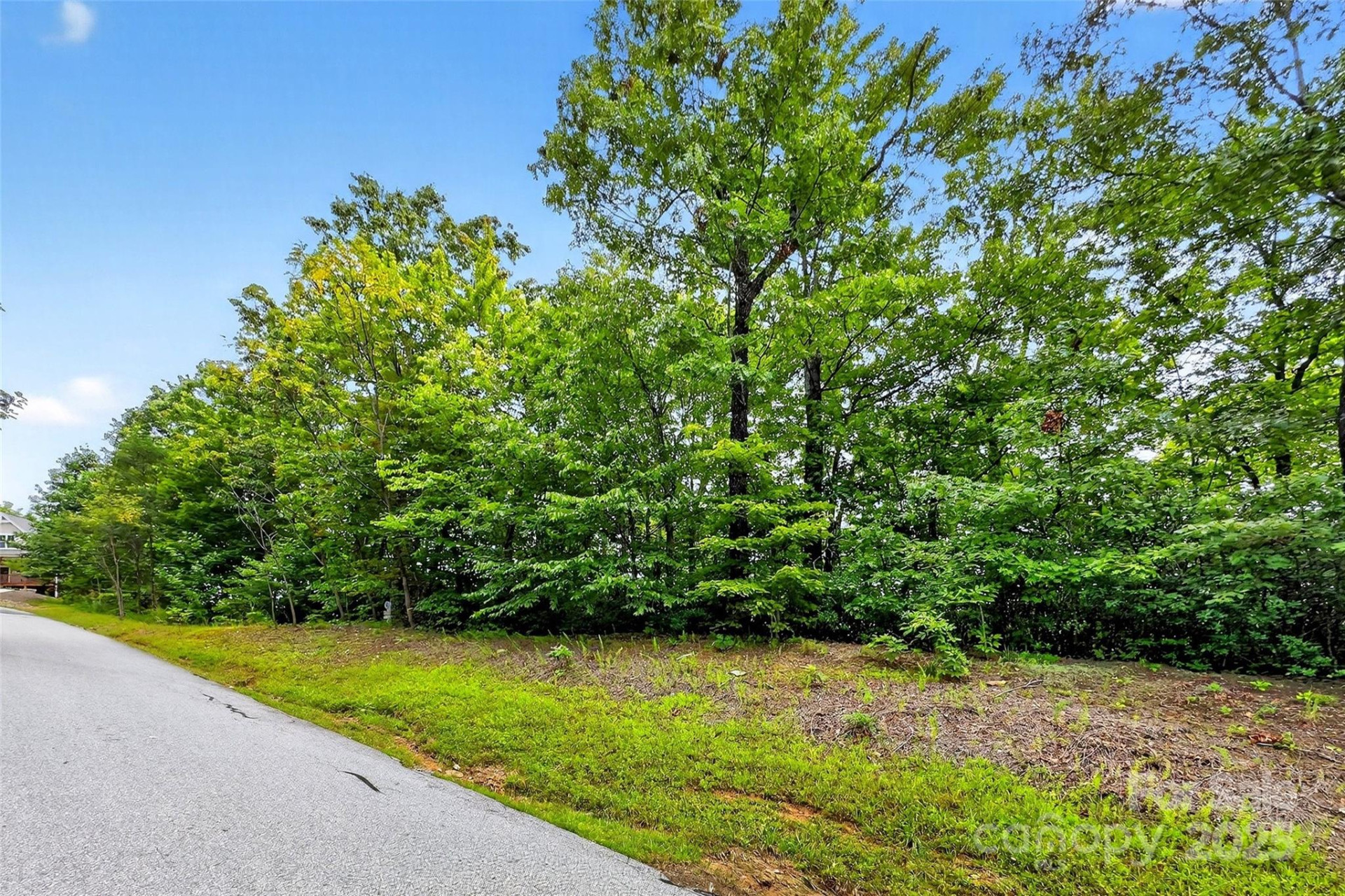 1696 Catawba Falls Parkway #190 - Photo 4