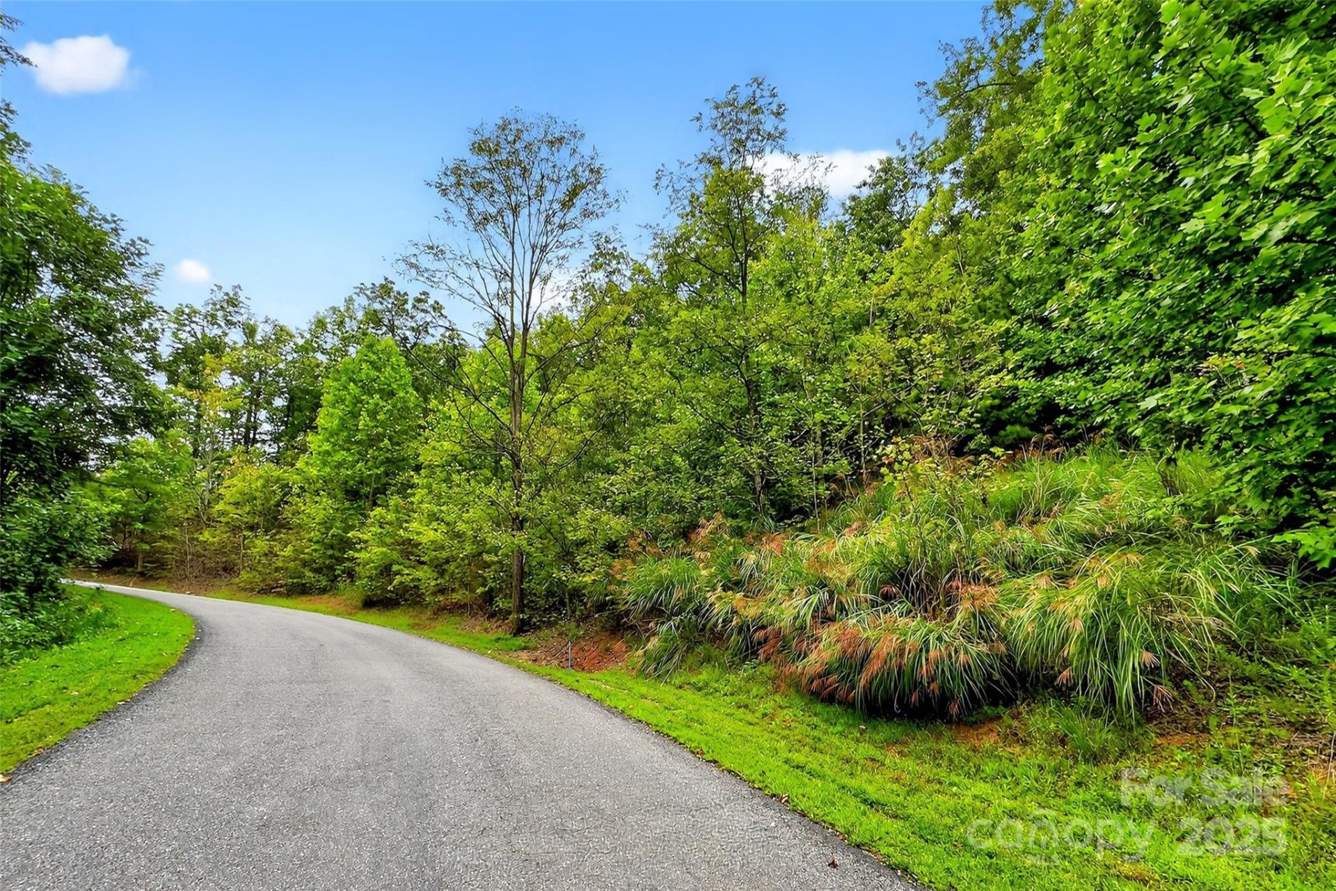 1696 Catawba Falls Parkway #190 - Photo 5