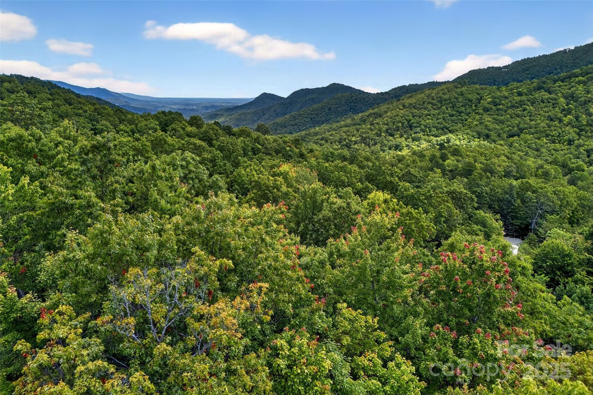 1696 Catawba Falls Parkway #190 - Photo 6