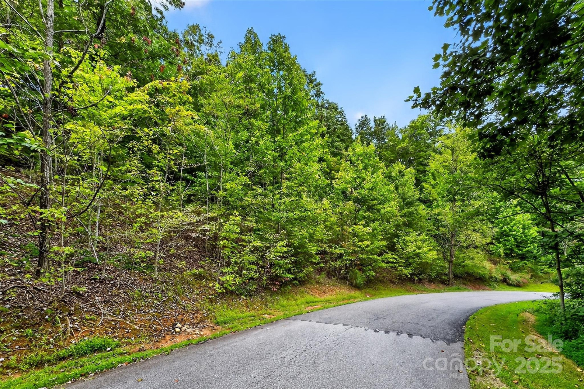 1696 Catawba Falls Parkway #190 - Photo 7