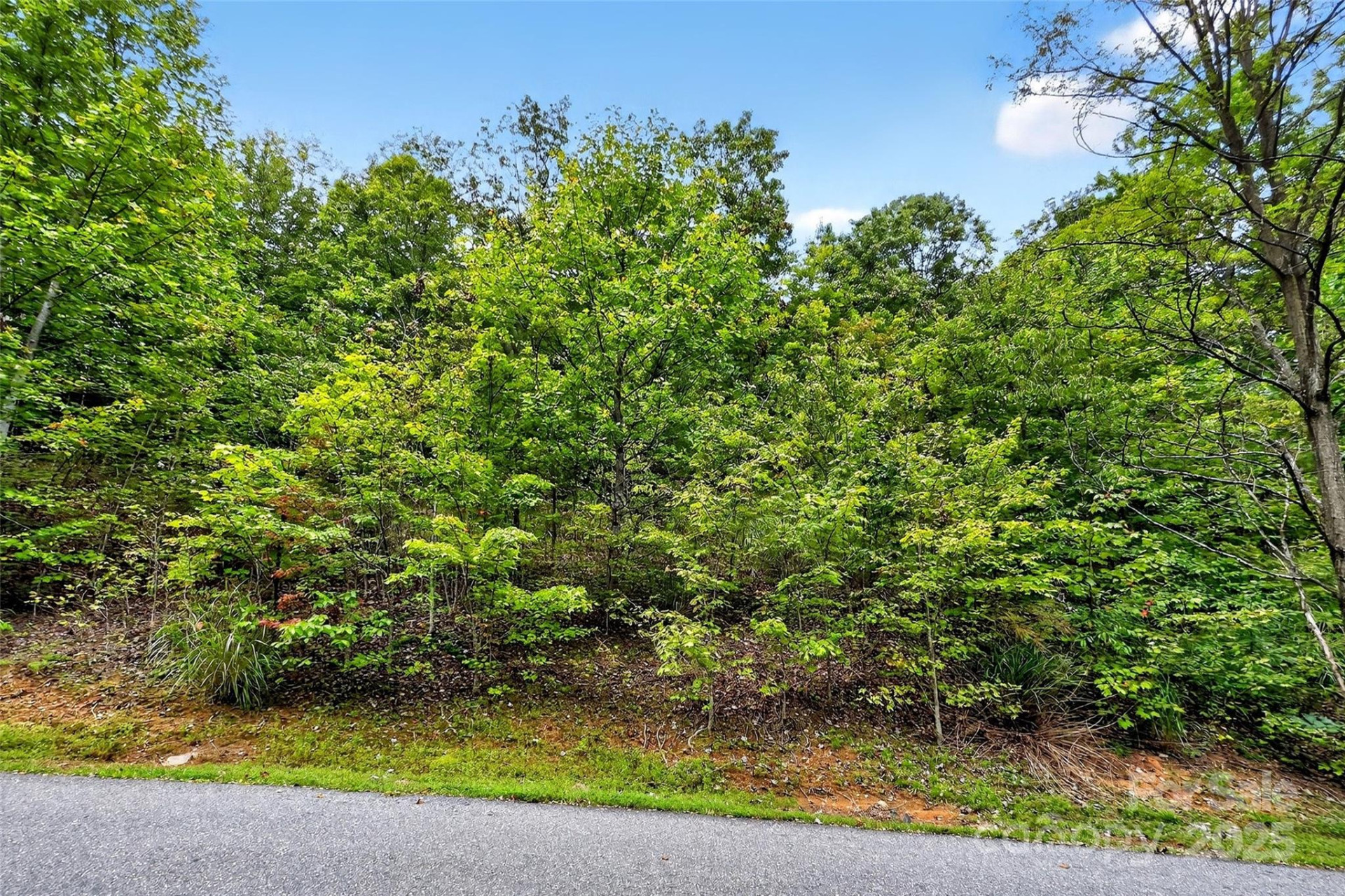 1696 Catawba Falls Parkway #190 - Photo 8