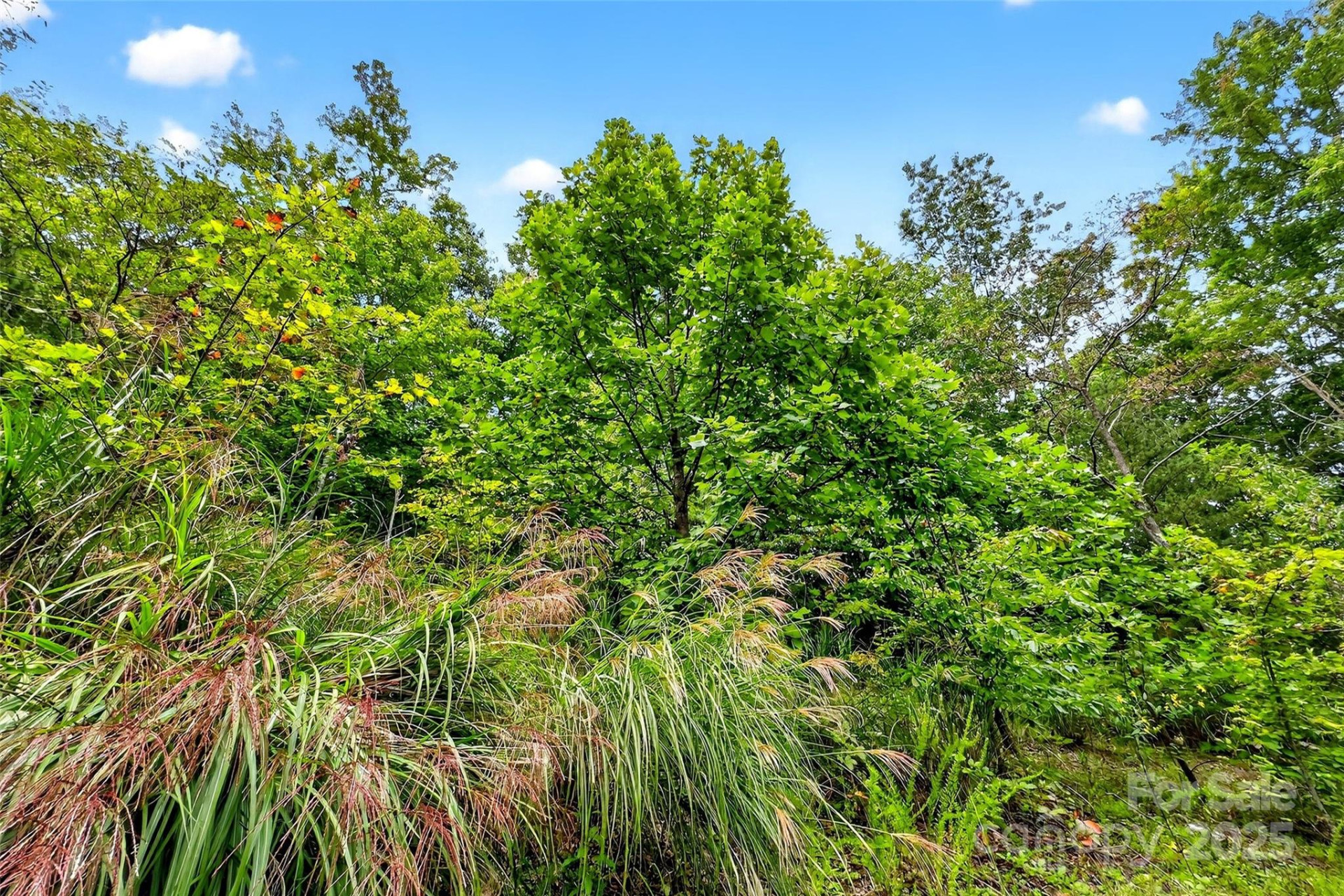 1696 Catawba Falls Parkway #190 - Photo 9