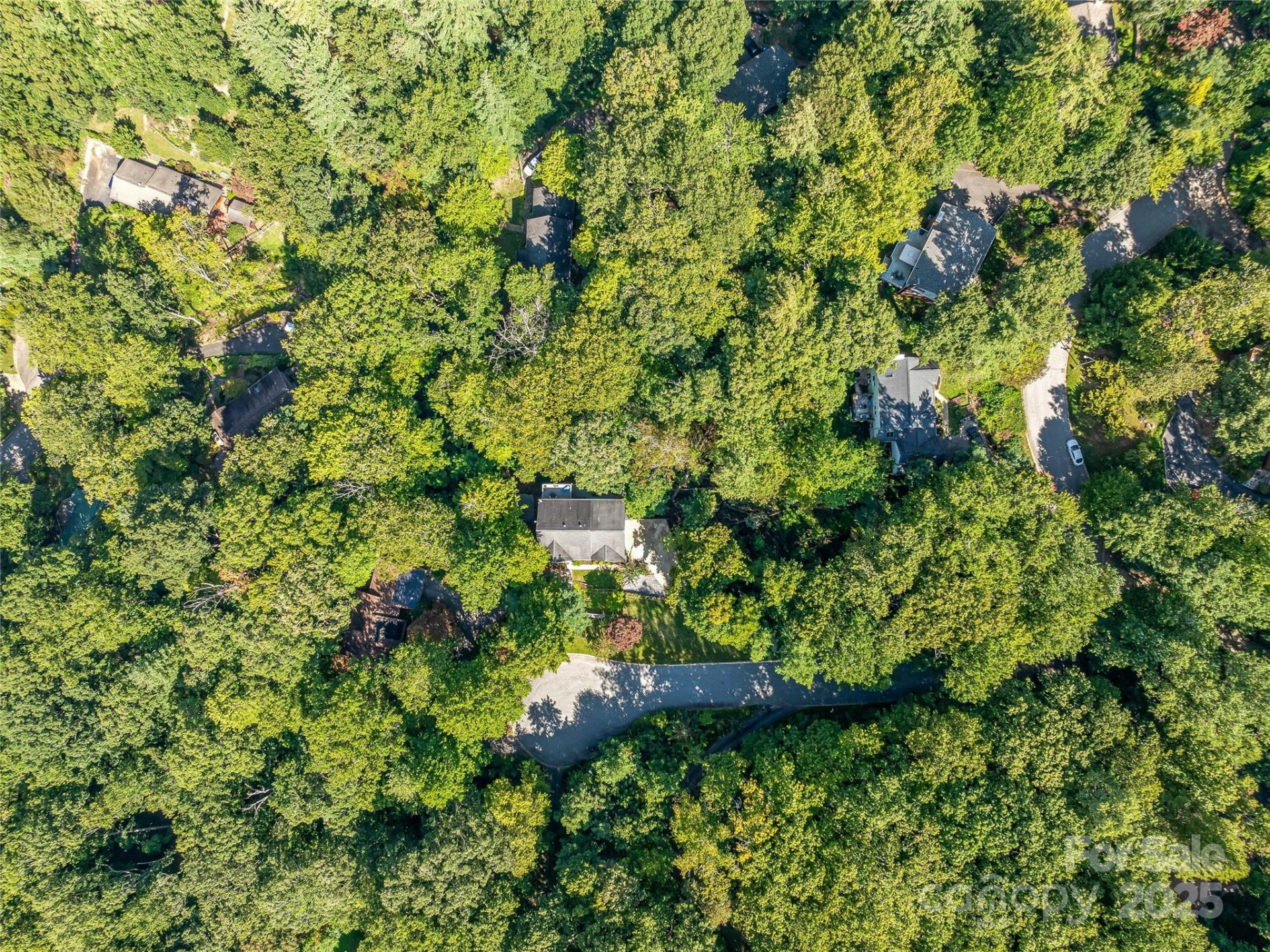 113 Ballantree Drive - Photo 45