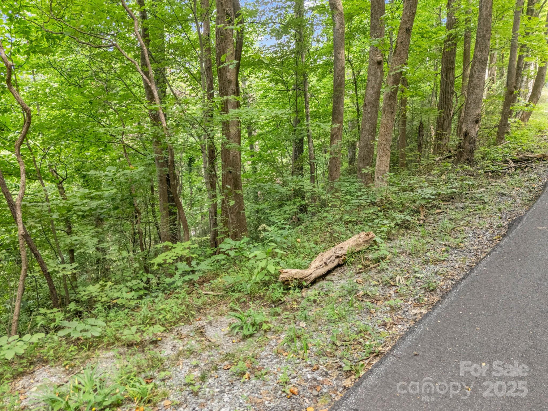 00 Mistletoe Park - Photo 14