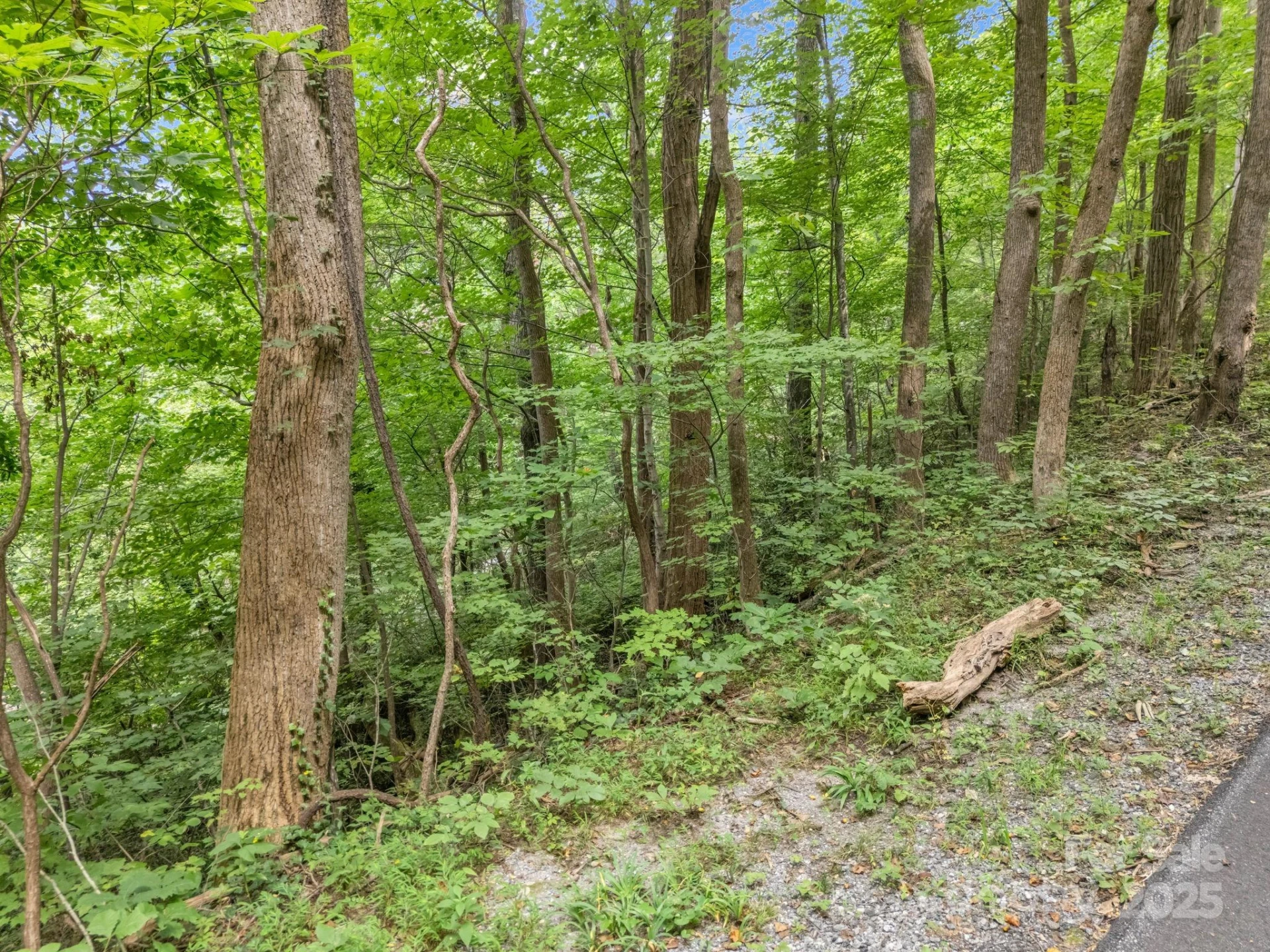 00 Mistletoe Park - Photo 15