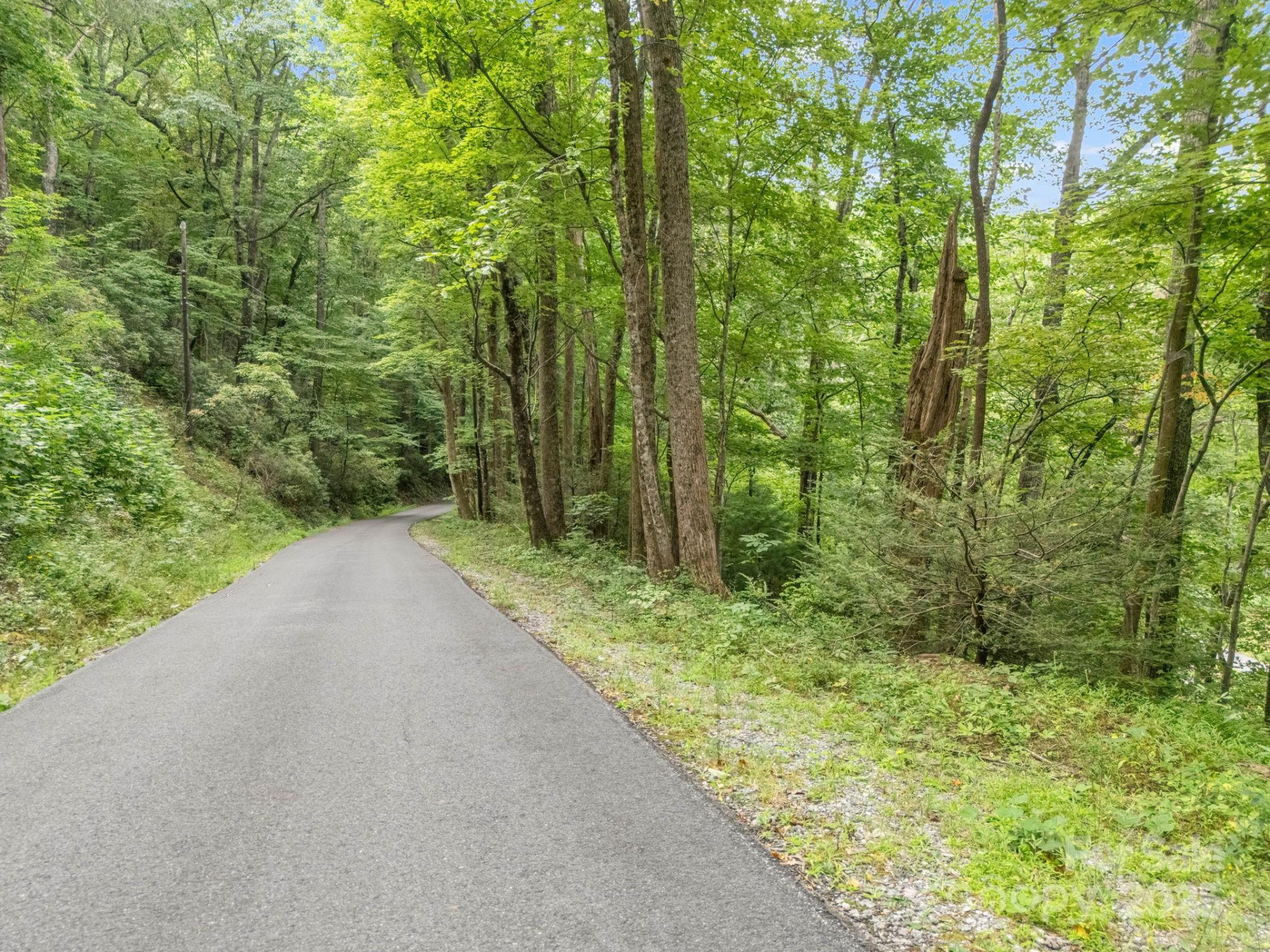 00 Mistletoe Park - Photo 5