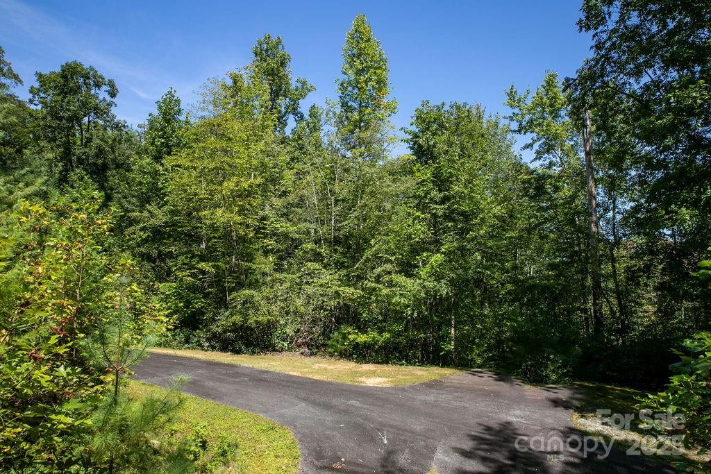 Lot 11 Silver Maple Trail - Photo 11