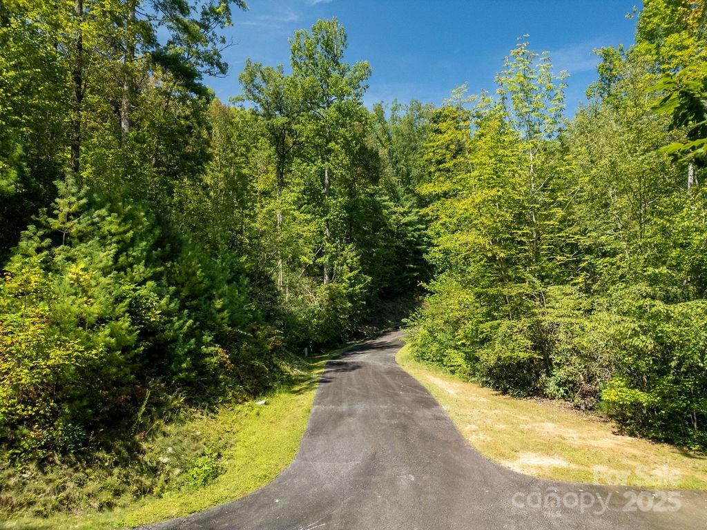 Lot 11 Silver Maple Trail - Photo 12