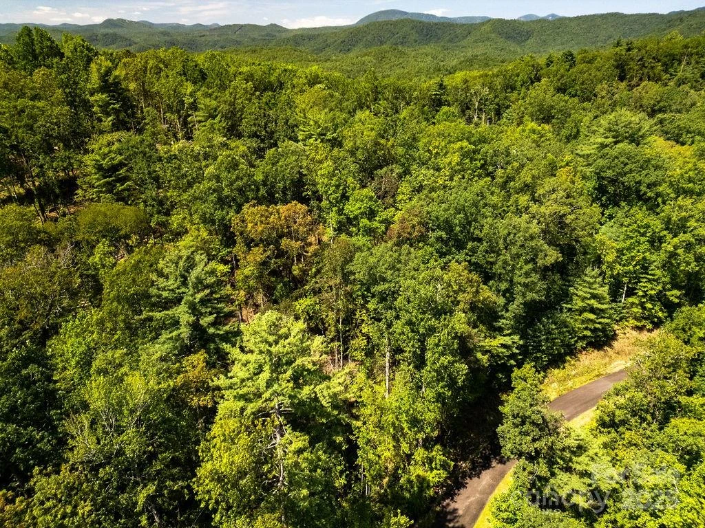 Lot 11 Silver Maple Trail - Photo 13