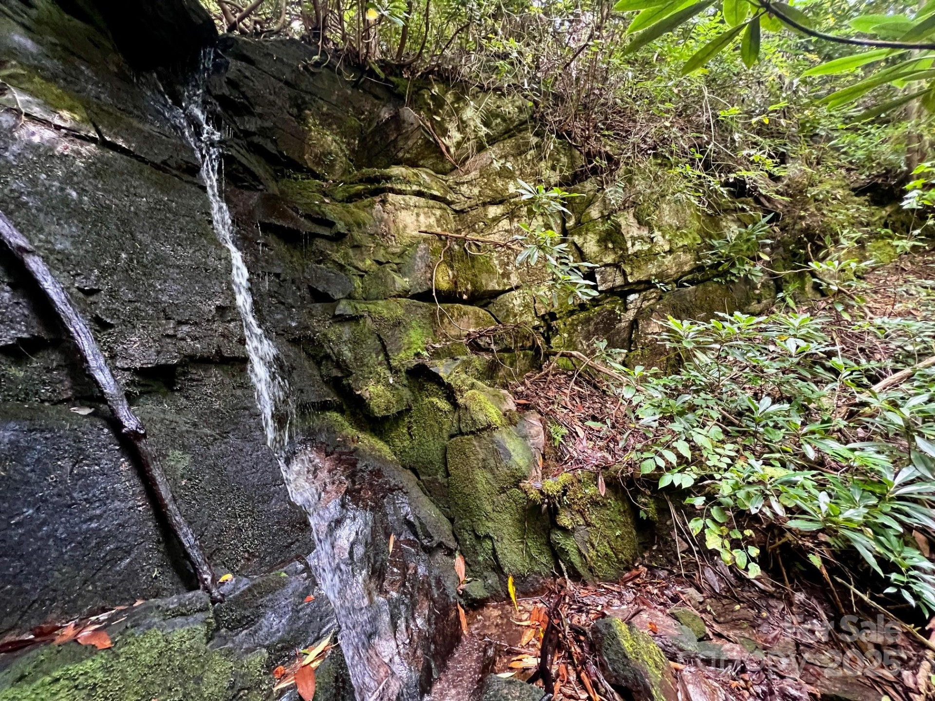 Lot 11 Silver Maple Trail - Photo 3