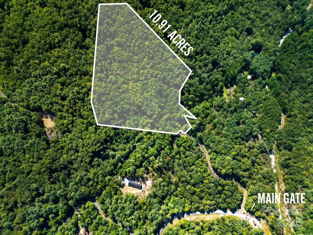 Lot 11 Silver Maple Trail - Photo 5
