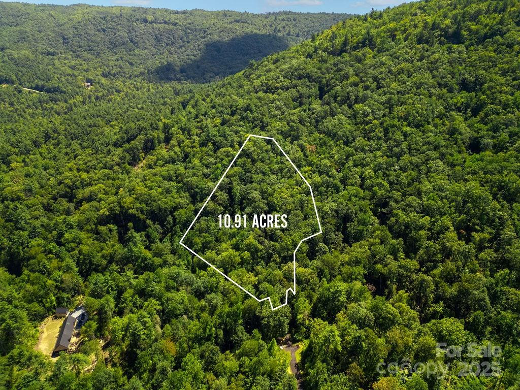 Lot 11 Silver Maple Trail - Photo 7