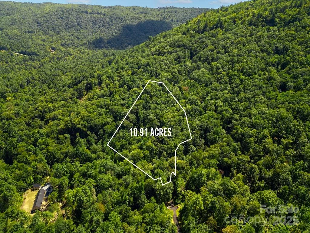 Lot 11 Silver Maple Trail - Photo 7