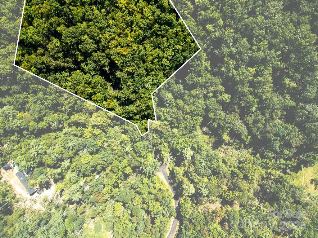 Lot 11 Silver Maple Trail - Photo 8