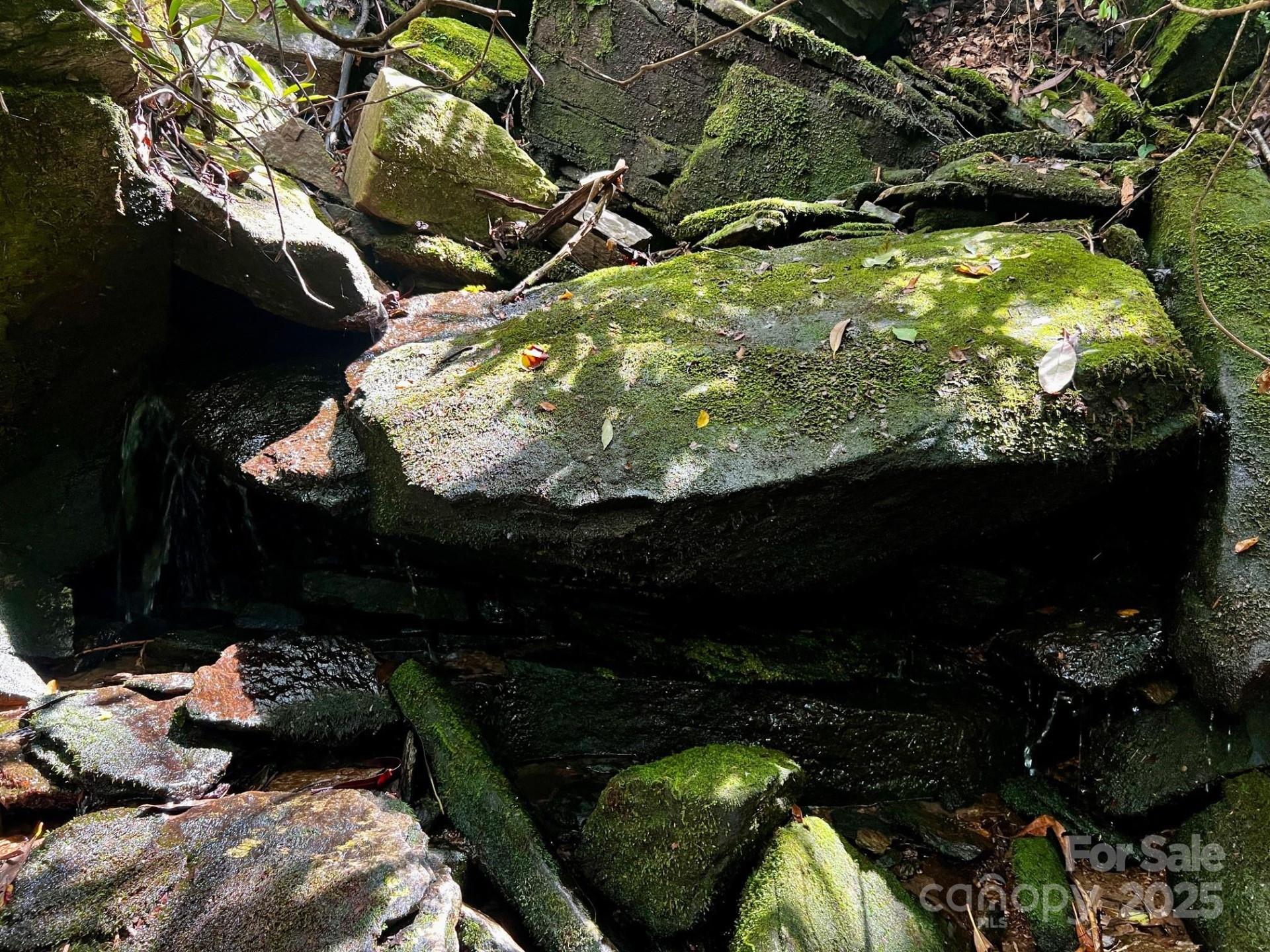 Lot 11 Silver Maple Trail - Photo 9