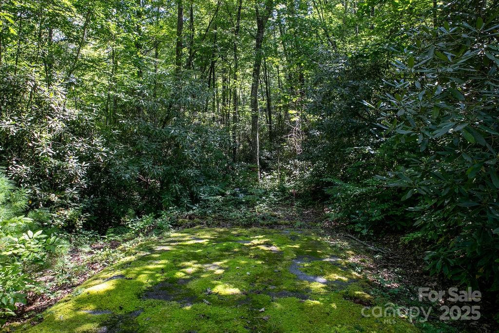 Lot 11 Silver Maple Trail - Photo 10