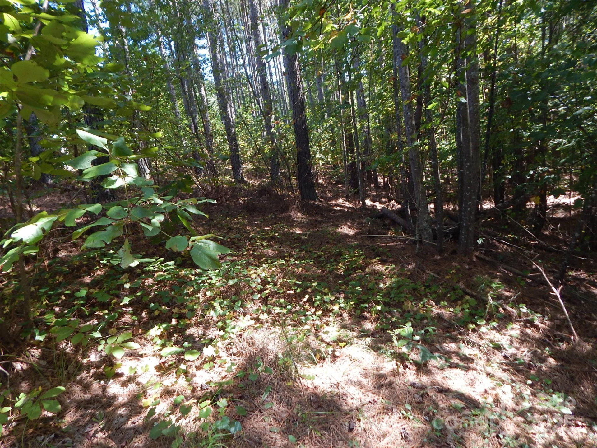 335 Table Rock Trace #154 - Photo 2