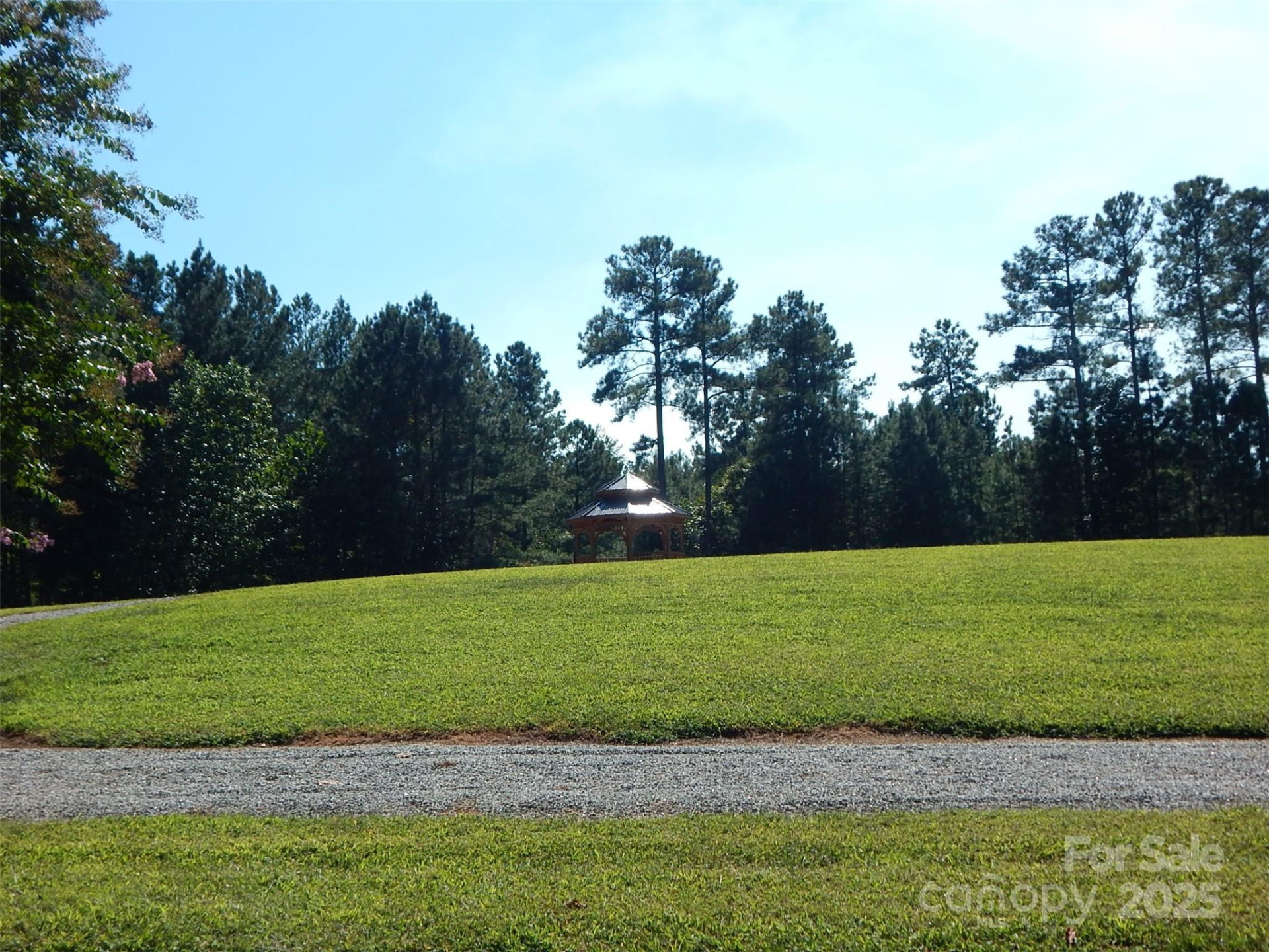 335 Table Rock Trace #154 - Photo 11