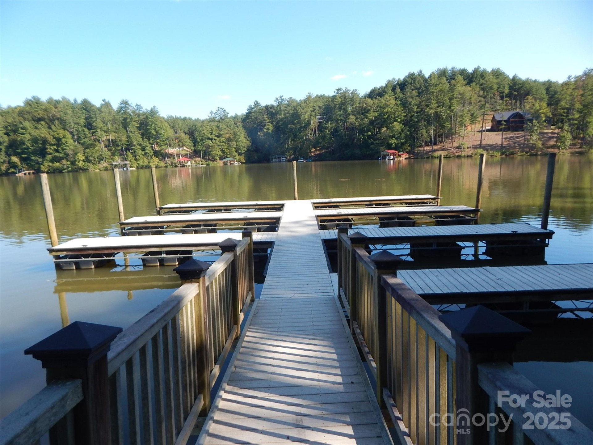 335 Table Rock Trace #154 - Photo 13