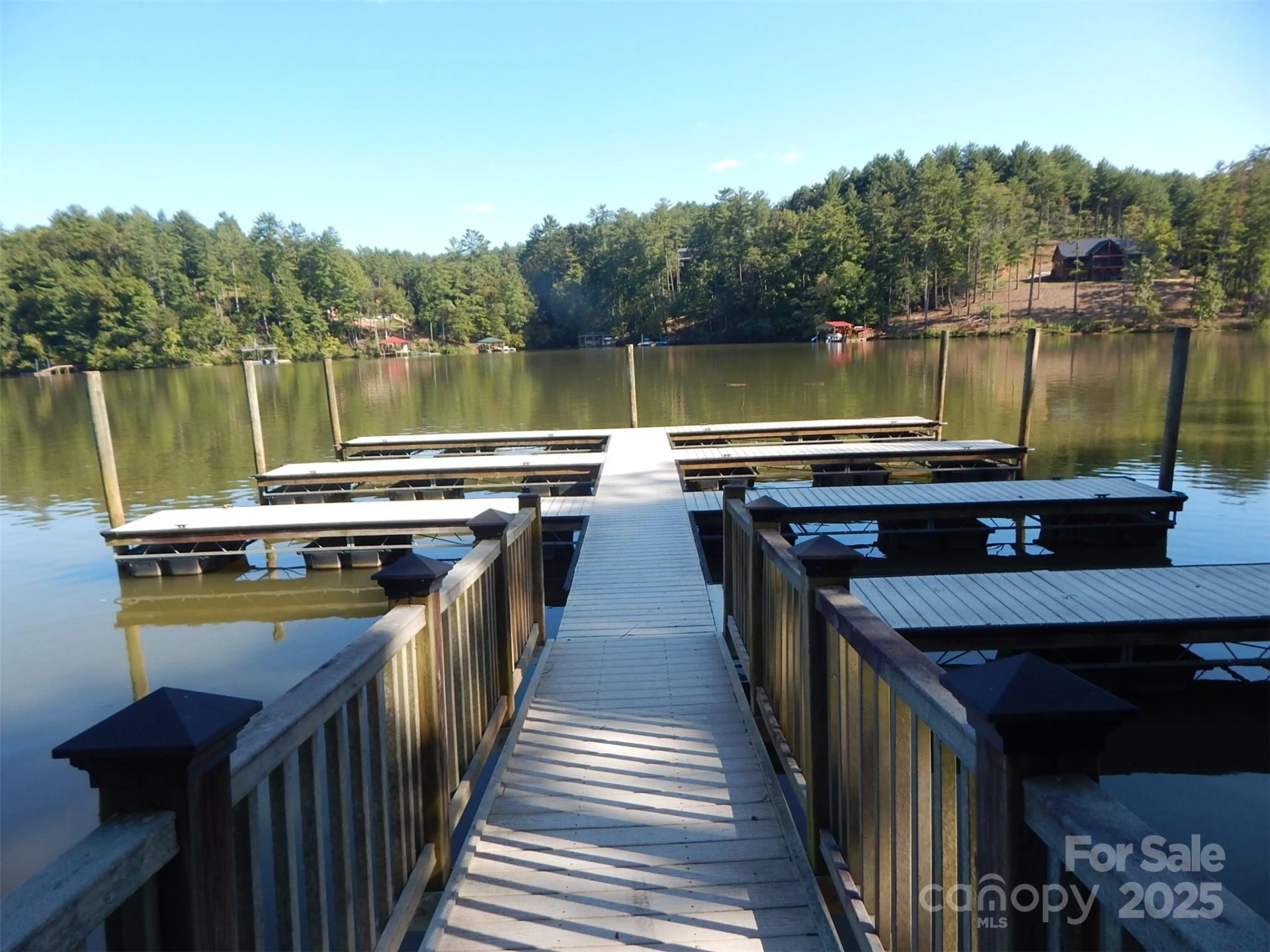 335 Table Rock Trace #154 - Photo 13